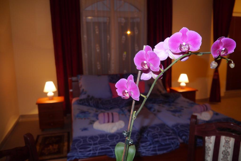 Guest House Villa Lord Novi Sad Luaran gambar